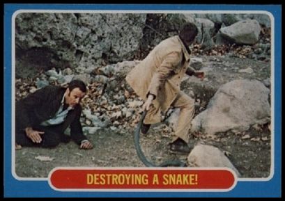 46 Destroying A Snake